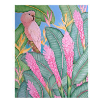 Moluccan Cockatoo posters by joeyartist Moluccan Cockatoo posters