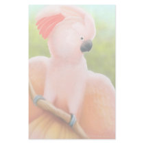 Moluccan Cockatoo Stationery
