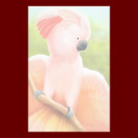 Moluccan Cockatoo Stationery stationery