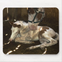 mom and babe mousepads