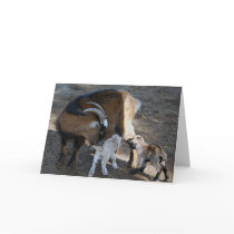 Mom and Babies cards by laureenr Mom and Babies cards