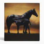 Mom and Baby colt 3 Ring Binders