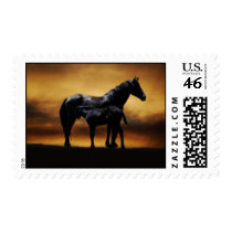 Mom and Baby colt Postage