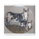 MOM AND BABY DONKEY magnets by KABSANNIE MOM AND BABY DONKEY magnets