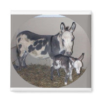 MOM AND BABY DONKEY magnets by KABSANNIE MOM AND BABY DONKEY magnets