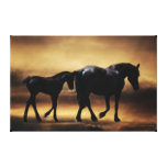Mom and baby horse canvas prints