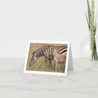 Mom and Baby Zebra Greeting Card