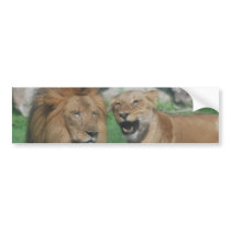Mom and Dad Lion Bumper Stickers