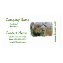 Mom and Dad Lion  Business Cards
