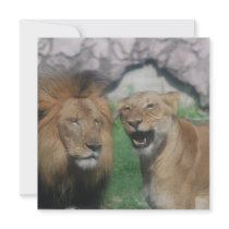 Mom and Dad Lion Invitations
