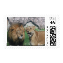 Mom and Dad Lion Postage Stamp