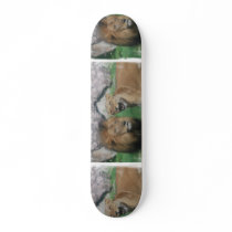 Mom and Dad Lion Skateboard
