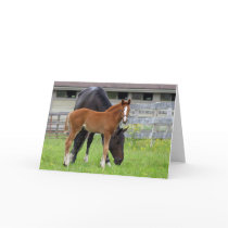 Mom and Me UMASS Filly Blank Greeting Card