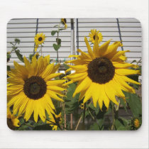Mom and Pop Sunflowers mousepads