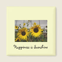 Mom and Pop Sunflowers magnets