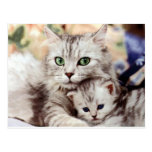Mom and Son Post Cards