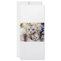 Mom and Son Rack Cards
