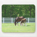 Mom-baby mousepads