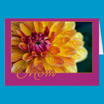 Mom Dahlia Dew cards
