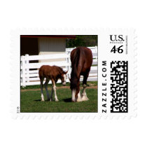 Mom & Foal postage