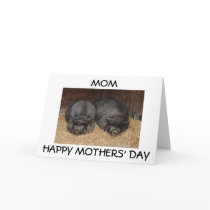 "MOM, HAPPY MOTHERS' DAY" FROM SON OR DAUGHTER GREETING CARDS