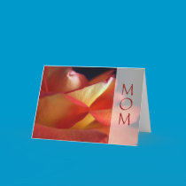 Mom - I love you - Orange Rose cards