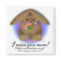 MOM magnets