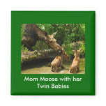 Mom Moose with Twins Magnet
