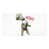 MOM!! photo cards by cabinfeverdavid MOM!! photo cards