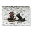 Mom & son hippos playing posters