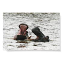 Mom & son hippos playing posters