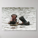 Mom & son hippos playing posters