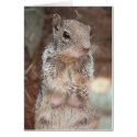 Mom Squirrel Humorous Card