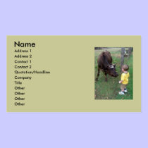 Mom, What is That? business cards