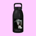 Mom with Baby Goat Water Bottle water bottles