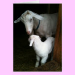 Mom with Baby Goats Note Card cards