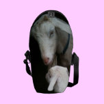 Mom with her Buckling Messenger Bag messenger bags