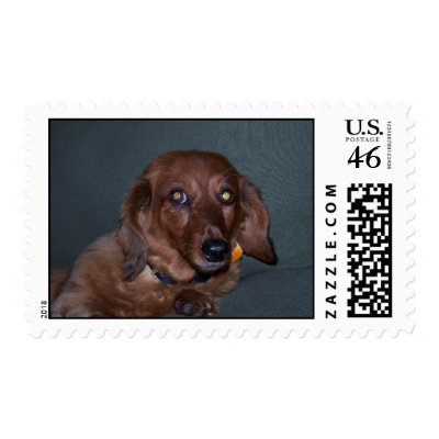 Mom Xmas- Daisy Postage
