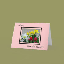 Mom, You Are Loved! Card
