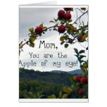 Mom, you are the Apple of my eye! Greeting Card