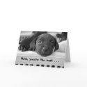 Mom, you're the best . . . cards by applesiders Mom, you're the best . . . cards