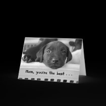Mom, you're the best . . . cards