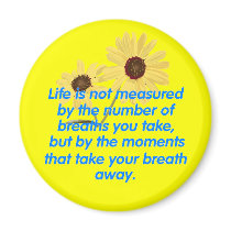 Moments Magnet