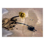 Moments On The Beach Business Card