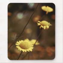 momentum 2b mousepads