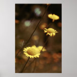 momentum 2b print