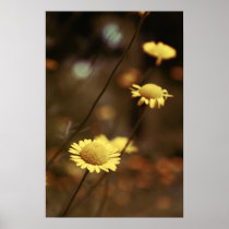 momentum 2b print
