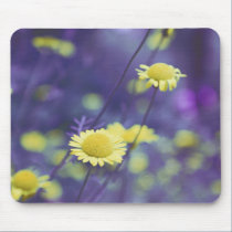 Momentum h Mousepad mousepads