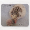 Momma and baby pinto mousepad