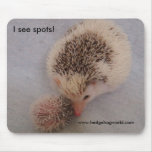 Momma and baby pinto mousepad